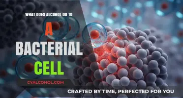 Alcohol's Impact on Bacterial Cells: Mechanisms and Effects Explained