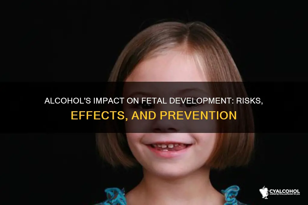 what does alcohol do to a developing fetus