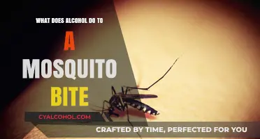 Alcohol's Surprising Effect on Mosquito Bites: Relief or Risk?