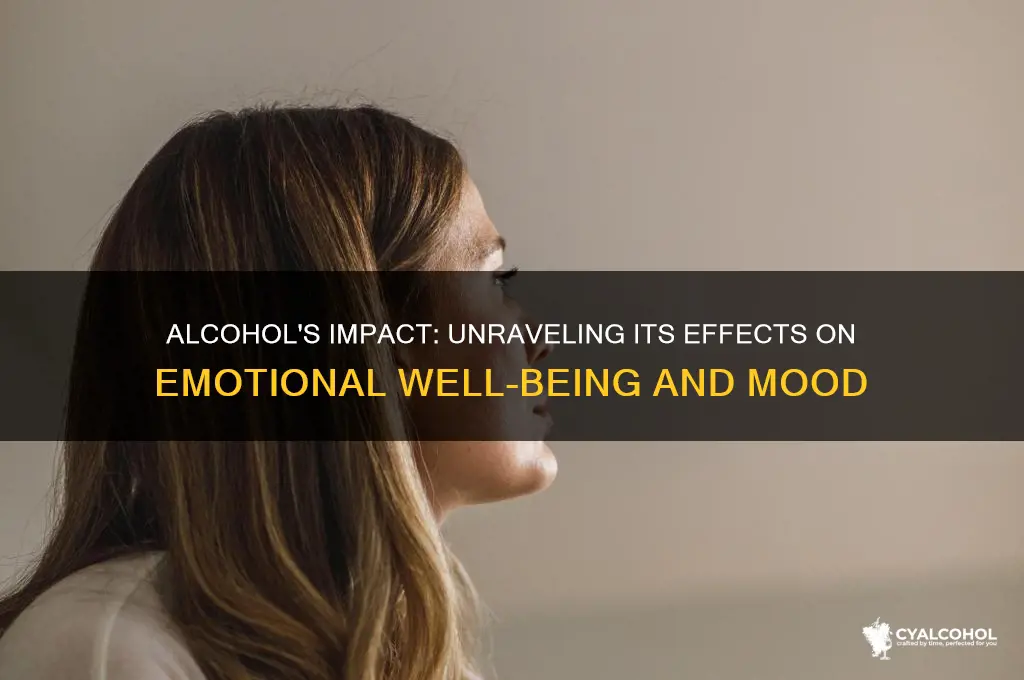 what does alcohol do to a person emotional