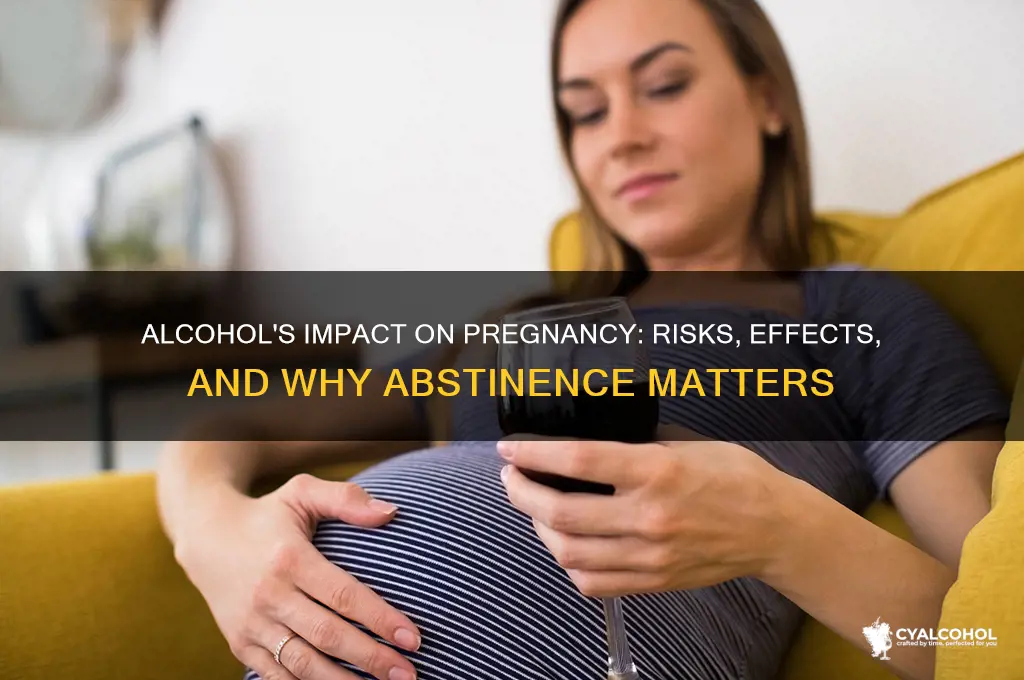 what does alcohol do to a pregnant lady