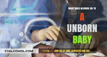 Alcohol's Impact on Unborn Babies: Risks, Effects, and Prevention