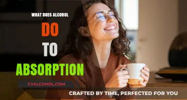 How Alcohol Impacts Nutrient Absorption: Effects on Your Body