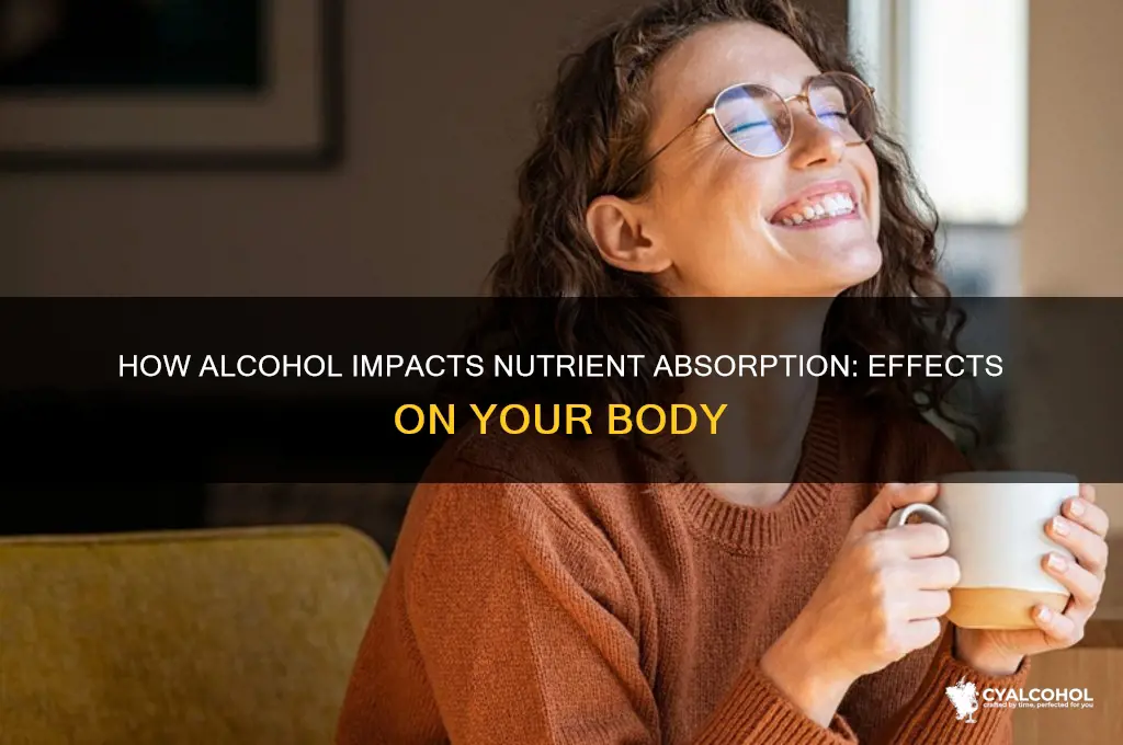 what does alcohol do to absorption