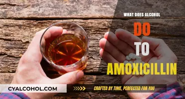 Alcohol and Amoxicillin: Risks, Interactions, and What You Need to Know