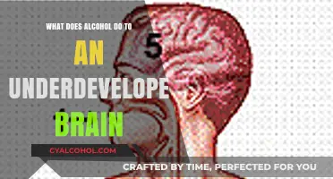 Alcohol's Impact on the Developing Brain: Risks and Consequences