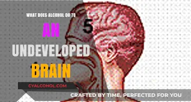 Alcohol's Impact on the Undeveloped Brain: Risks and Consequences