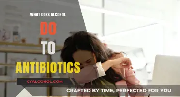 Alcohol and Antibiotics: Risks, Interactions, and What You Need to Know