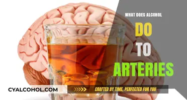 How Alcohol Impacts Arterial Health: Risks and Effects Explained