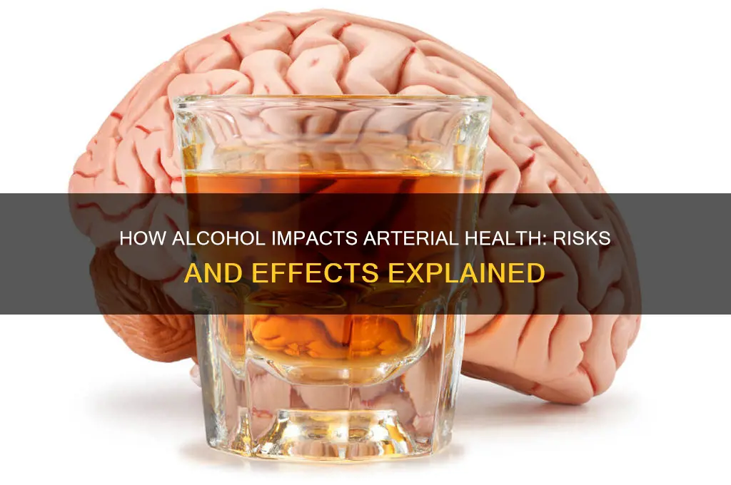 what does alcohol do to arteries