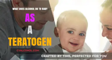 Alcohol's Teratogenic Effects on Babies: What You Need to Know