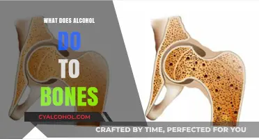 Alcohol's Impact on Bone Health: Risks, Weakening, and Long-Term Effects