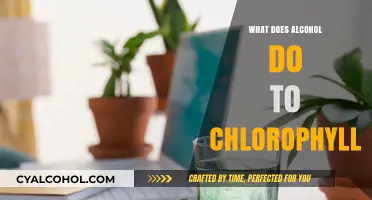 Alcohol's Impact on Chlorophyll: Unveiling the Effects on Plant Pigmentation