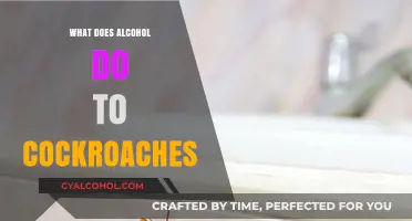 Alcohol's Surprising Effects on Cockroaches: Behavior, Survival, and Science