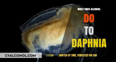 Alcohol's Impact on Daphnia: Uncovering Effects on Tiny Aquatic Life
