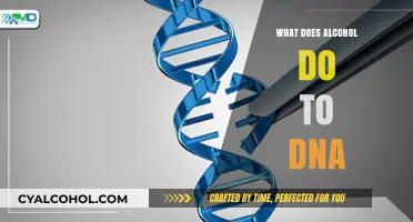 Alcohol's Impact on DNA: Unraveling the Genetic Consequences of Drinking