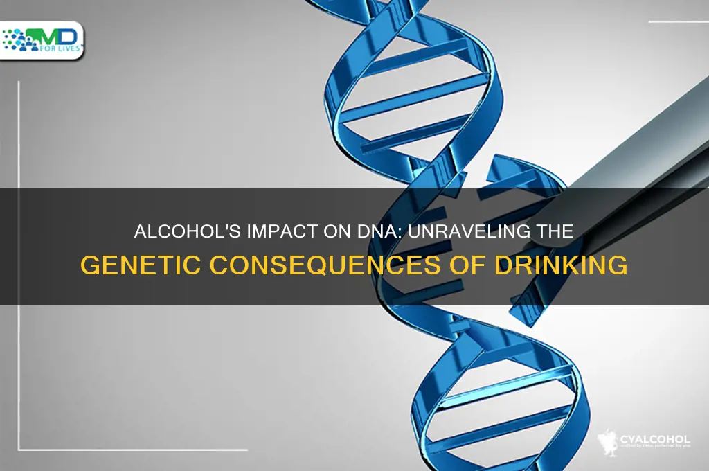 what does alcohol do to dna