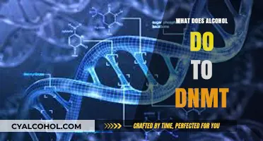 Alcohol's Impact on DNA Methylation: Exploring DNMT Enzyme Alterations