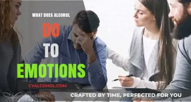 How Alcohol Impacts Emotions: Unraveling the Complex Effects on Mood