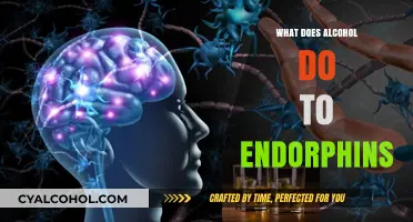 How Alcohol Affects Endorphins: Unraveling the Brain's Reward System