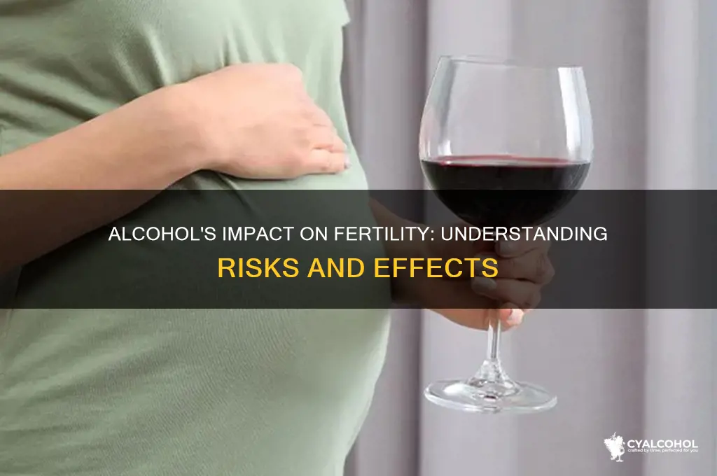 what does alcohol do to fertility