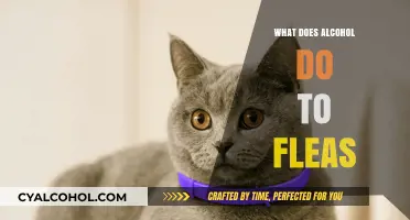 Alcohol's Impact on Fleas: Surprising Effects and Safe Alternatives