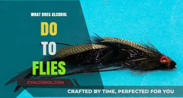 How Alcohol Affects Flies: Surprising Insights into Intoxication and Behavior