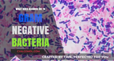 Alcohol's Impact on Gram-Negative Bacteria: Mechanisms and Effects Explained