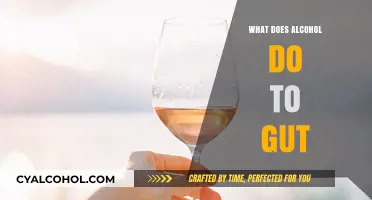 How Alcohol Impacts Your Gut Health: Effects and Solutions