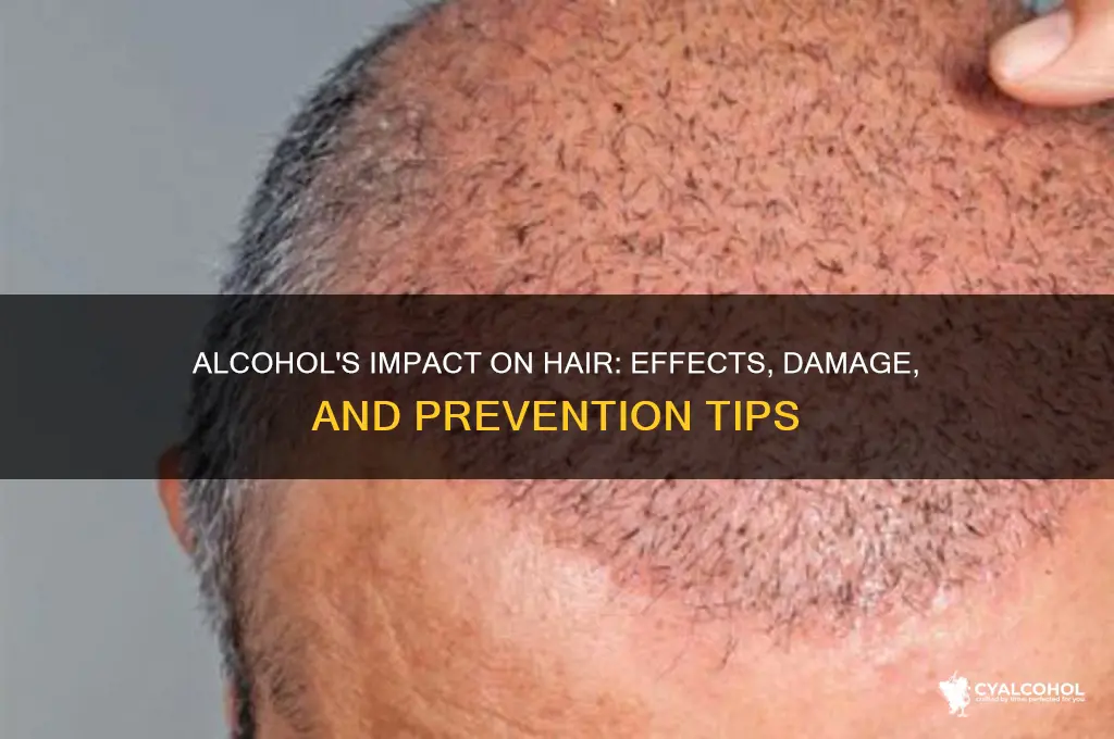 what does alcohol do to hair