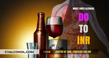 How Alcohol Affects INR Levels: Risks and Considerations