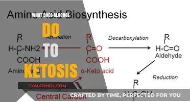 Alcohol's Impact on Ketosis: Effects, Risks, and Staying on Track