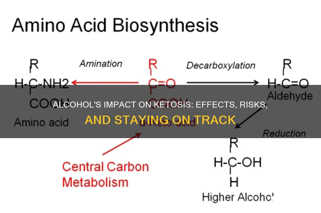 what does alcohol do to ketosis