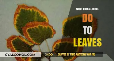How Alcohol Affects Leaves: Surprising Impacts on Plant Health