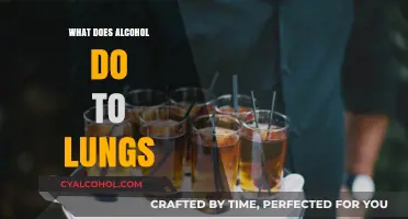 Alcohol's Impact on Lung Health: Risks, Effects, and Long-Term Consequences