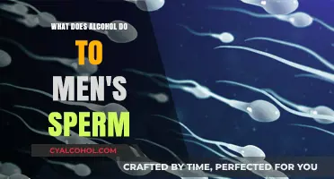 How Alcohol Affects Male Fertility: Impact on Sperm Health Explained