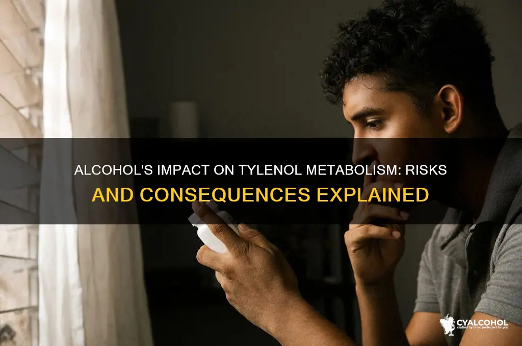 what does alcohol do to metabolism of tylenol
