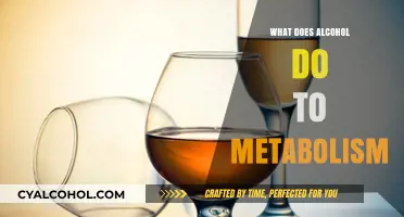 How Alcohol Impacts Your Metabolism: Effects and Consequences Explained