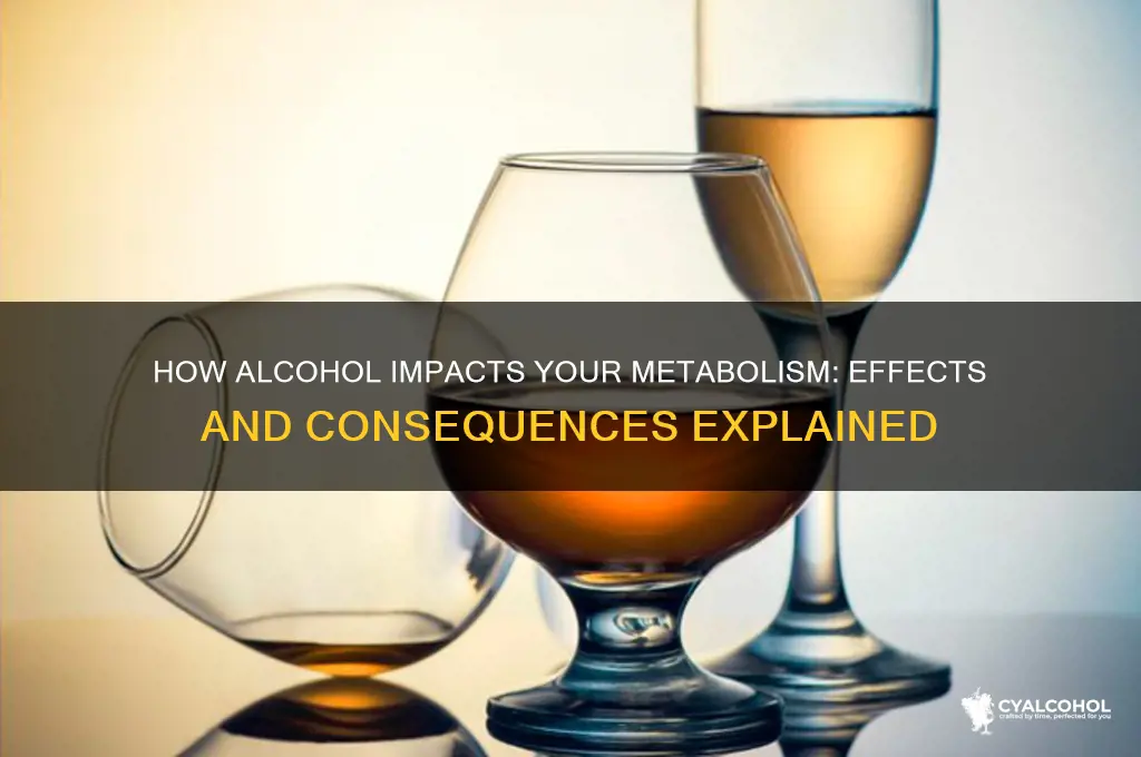 what does alcohol do to metabolism