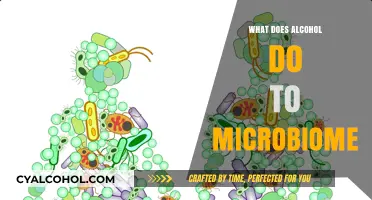 How Alcohol Impacts Your Gut Microbiome: Effects and Insights