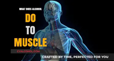 Alcohol's Impact on Muscle Growth, Recovery, and Performance Explained