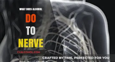 How Alcohol Damages Nerves: Understanding the Impact on Your Body