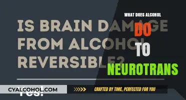 How Alcohol Alters Neurotransmitters: Brain Chemistry and Behavior Explained