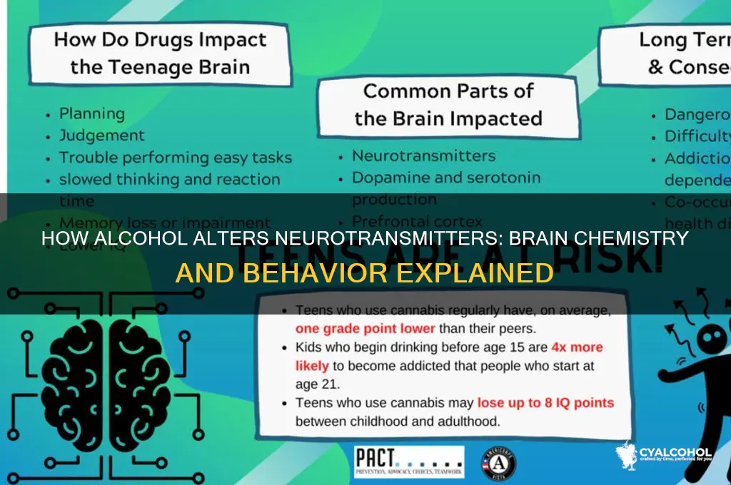 what does alcohol do to neurotransmitters