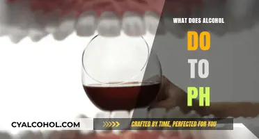How Alcohol Affects pH Levels in Your Body and Health
