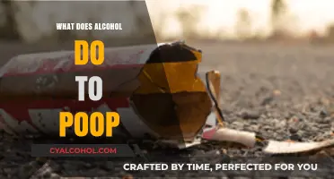 How Alcohol Affects Your Bowel Movements: The Surprising Poop Connection