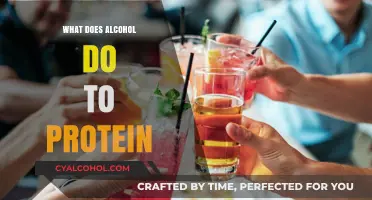 Alcohol's Impact on Protein Synthesis, Breakdown, and Muscle Health
