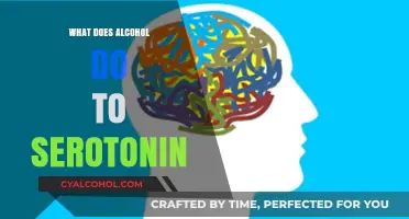 Alcohol's Impact on Serotonin: Unraveling the Brain Chemistry Connection