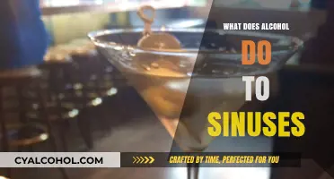 Alcohol's Impact on Sinuses: Effects, Risks, and What You Need to Know