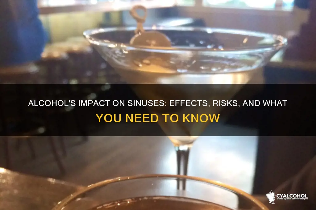 what does alcohol do to sinuses